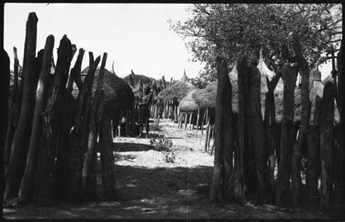 Woman standing inside kraal, view from outside fence