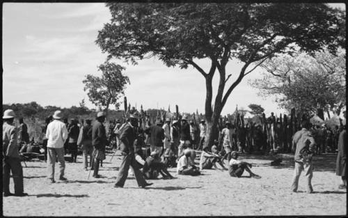 Group of men sitting and standing under a tree by a fence