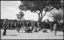 Group of men sitting and standing under a tree and by a fence