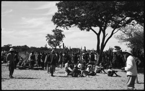 Group of men sitting and standing under a tree and by a fence