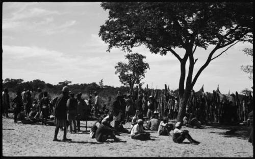 Group of men sitting and standing under a tree and by a fence