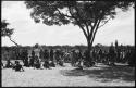 Group of men sitting and standing under a tree and by a fence