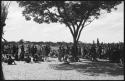 Group of men sitting and standing under a tree and by a fence