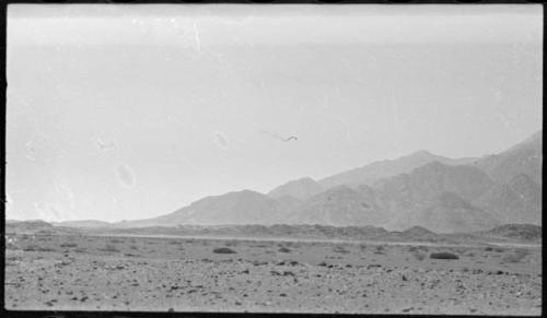 Landscape, with mountains in background