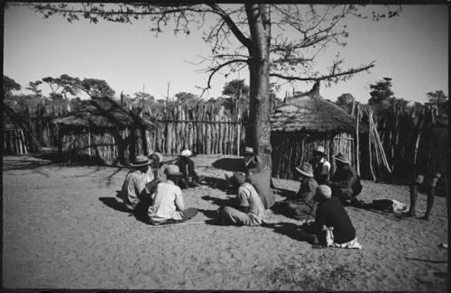 Men sitting near a tree