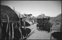 Group of women standing inside kraal