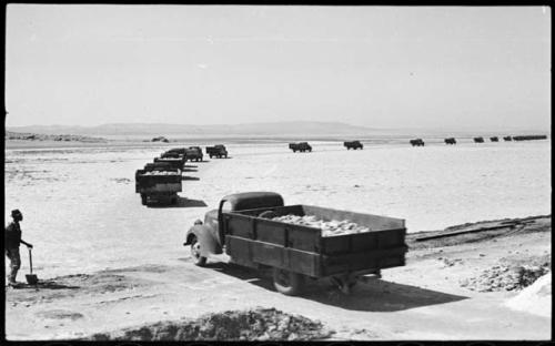 Man standing and holding a shovel, and trucks loaded with salt