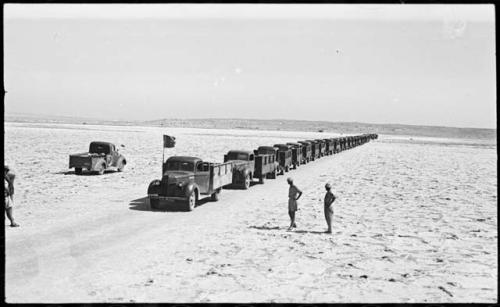 People walking in front of trucks waiting to be loaded with salt