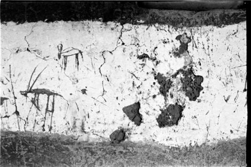 Drawings on a wall in an Okwa hut by local children