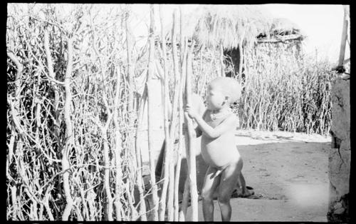 Boy (Boys's child) playing outside