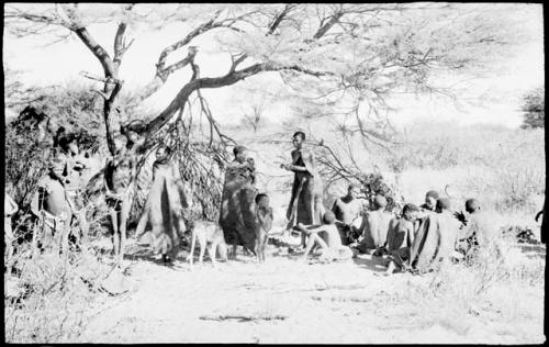 Group of people sitting and standing under a tree