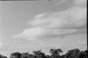 Clouds and treetops at Tsane