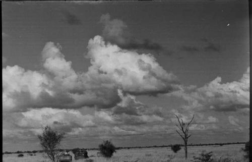 Two trucks crossing the plain