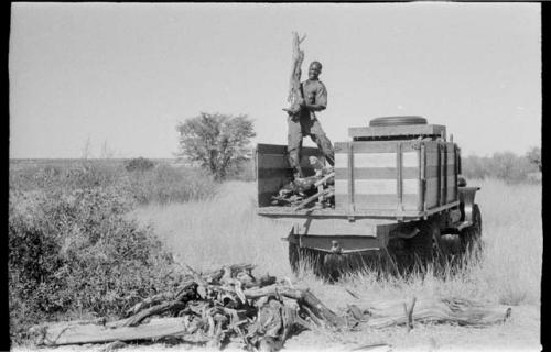 Simon Molamo off-loading wood from the back of the truck