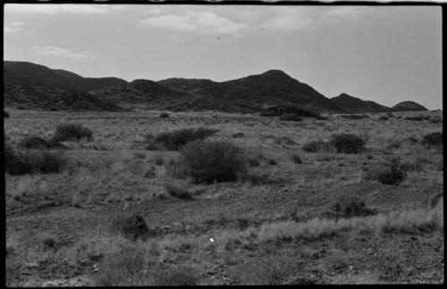 Landscape with brush, and hills in the background