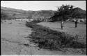 Men standing next to row of brush laid out on sand