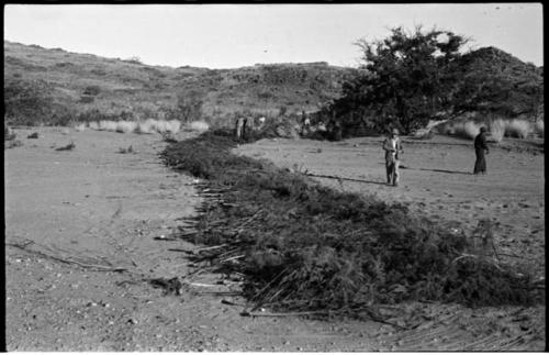 Men standing next to row of brush laid out on sand