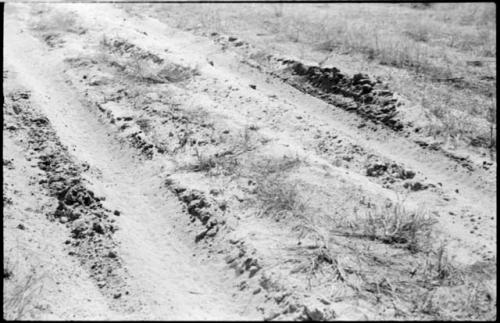 Track in the sand