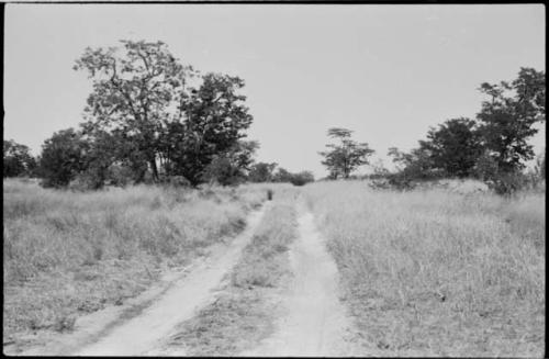 Truck tracks