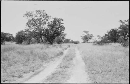 Truck tracks