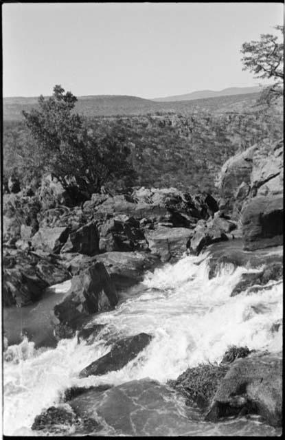 Tree and rocks at Ruacana Falls