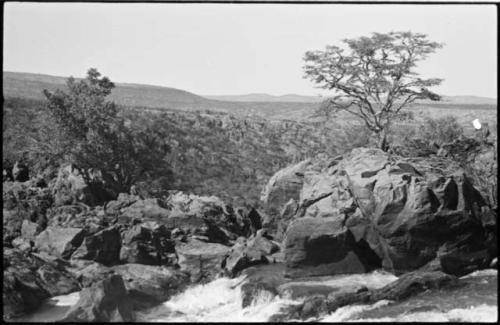 Tree and rocks at Ruacana Falls