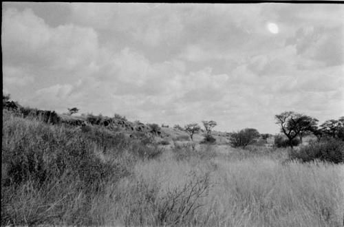 Wall of the riverbed