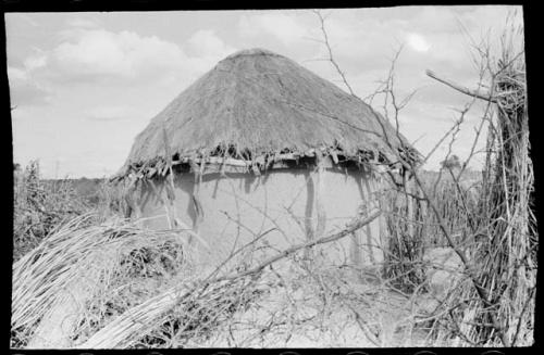 Round hut with mud walls and thatched roof