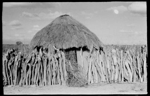 Hut and fence