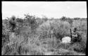 Theunis Berger with a gun kneeling behind a dead lion, being photographed