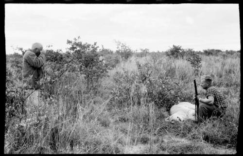 Theunis Berger with a gun kneeling behind a dead lion, being photographed