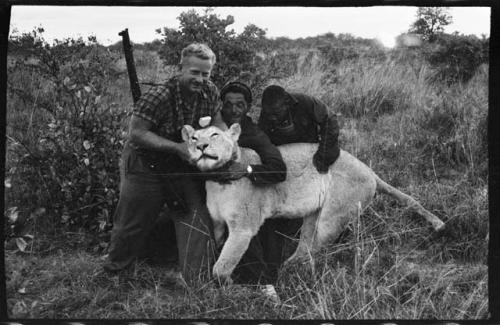 Theunis Berger and two others holding up a dead lion