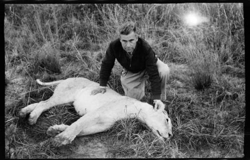 Daniel Blitz kneeling over a dead lion