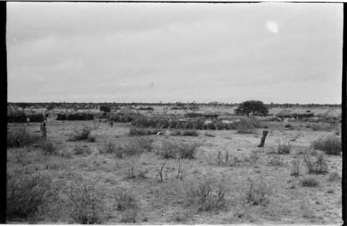 Village, distant view