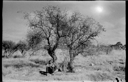 /Gishay sitting under a tree