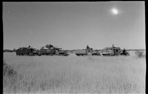 Four expedition trucks driving through grass