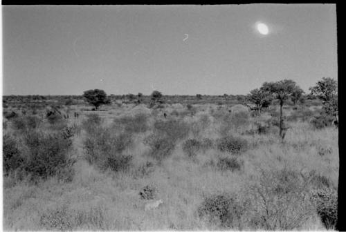 Grouping of grass huts; group of people standing on the left side