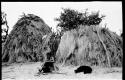 Boy and dog sitting before grass huts at Chukudu