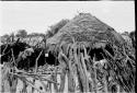 Hut with fence and tsama melons inside