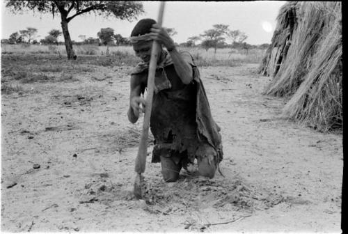 Woman on her knees digging with a hoe