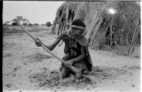 Woman on her knees digging with a hoe