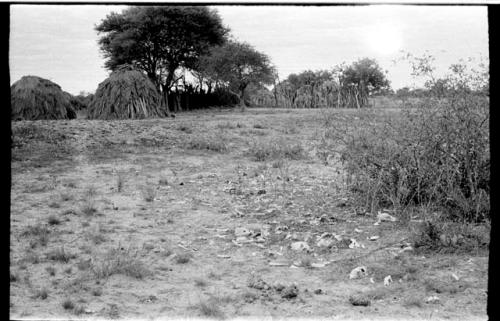 Ground and brush, shows a kraal with huts and a fence in the distance