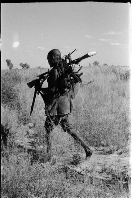 Man carrying animal traps and a gun, view from behind