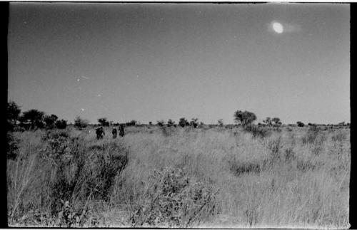 Group of people walking, moving to a new encampment