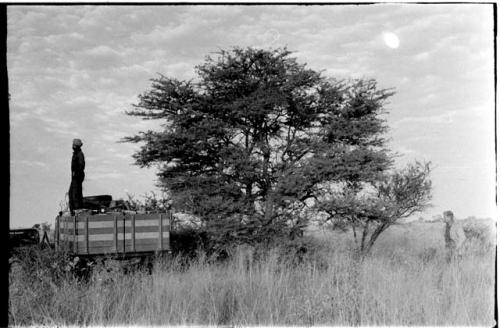 Person standing on top of a load in a truck; Theunis Berger standing in the grass