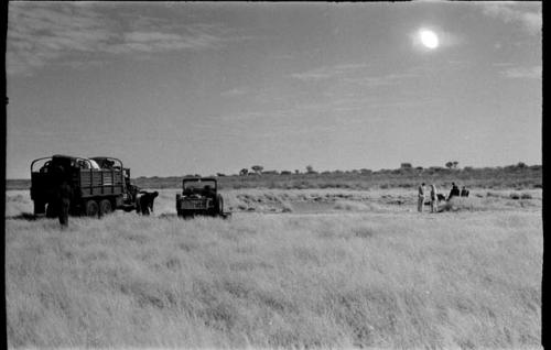 Elizabeth Marshall Thomas and Caspar Kruger starting to wash up; two trucks stopped in the grass