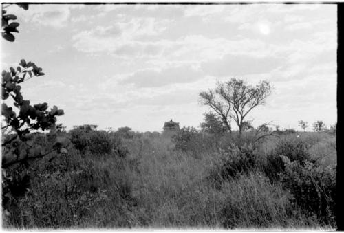 Landscape with truck in the distance