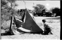 Elizabeth Marshall Thomas putting up a tent