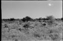 Village at Chukudu, distant