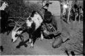 Boy milking goat, people standing in the background